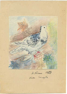 Коган Нина Иосифовна. Бухарский голубь. Иллюстрация к книге Е. Дубровского «Кролики и голуби» (М.: Гос. изд-во, 1930) 